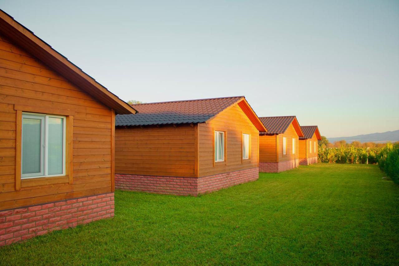 Finca Idoize Camping Hotel Akhmeta エクステリア 写真