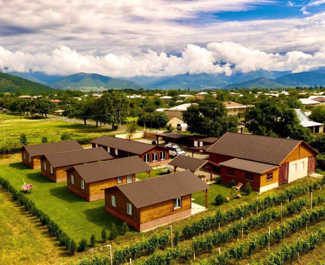 Finca Idoize Camping Hotel Akhmeta エクステリア 写真