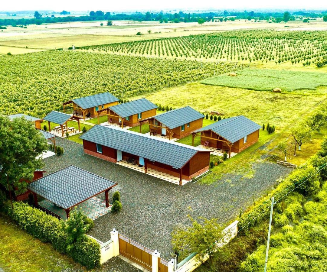 Finca Idoize Camping Hotel Akhmeta エクステリア 写真