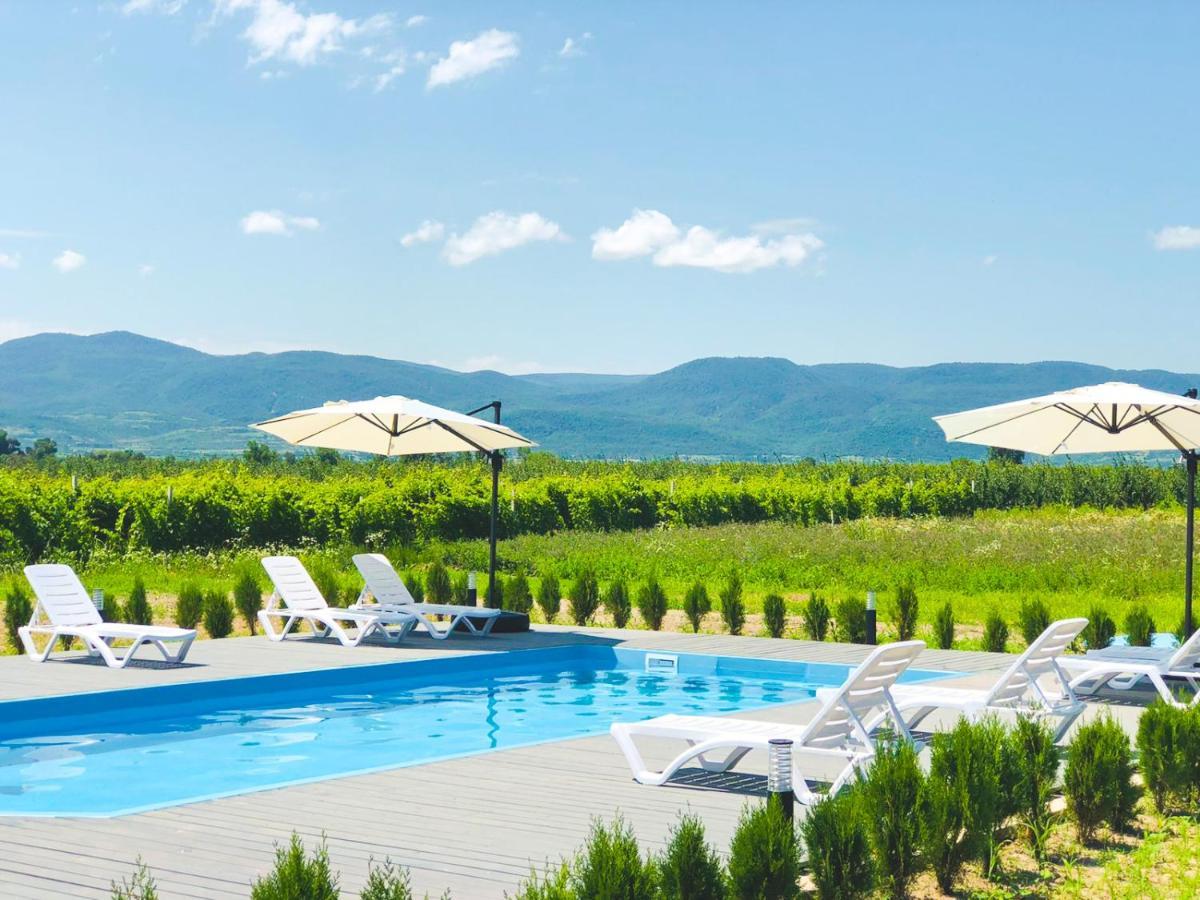 Finca Idoize Camping Hotel Akhmeta エクステリア 写真