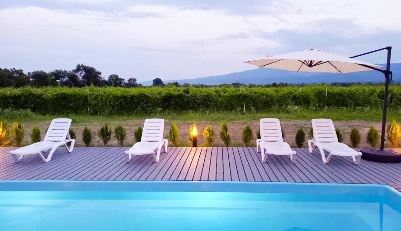 Finca Idoize Camping Hotel Akhmeta エクステリア 写真